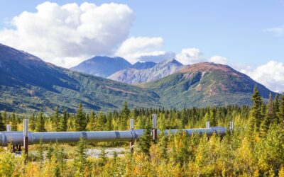Évaluation environnementale: l&rsquo;IEDM souhaite une refonte du cadre règlementaire pour attirer les investissements