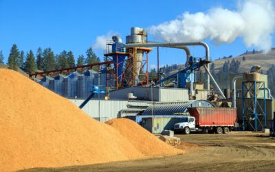 L’économie canadienne est au bord du gouffre